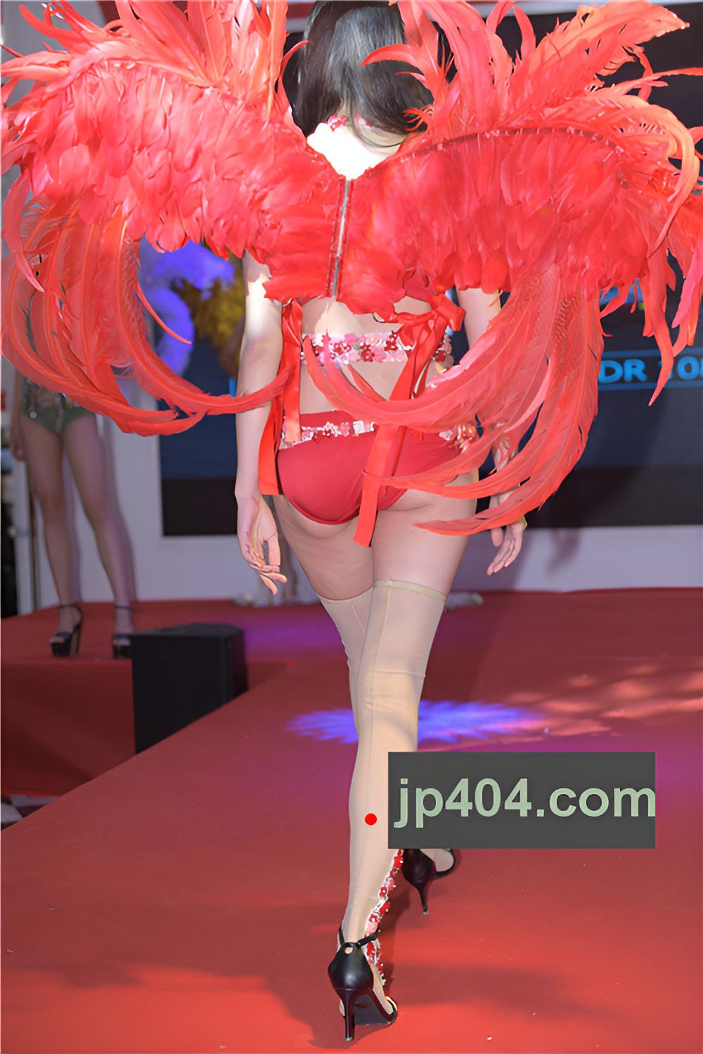 性感的内衣走秀【套图+视频】