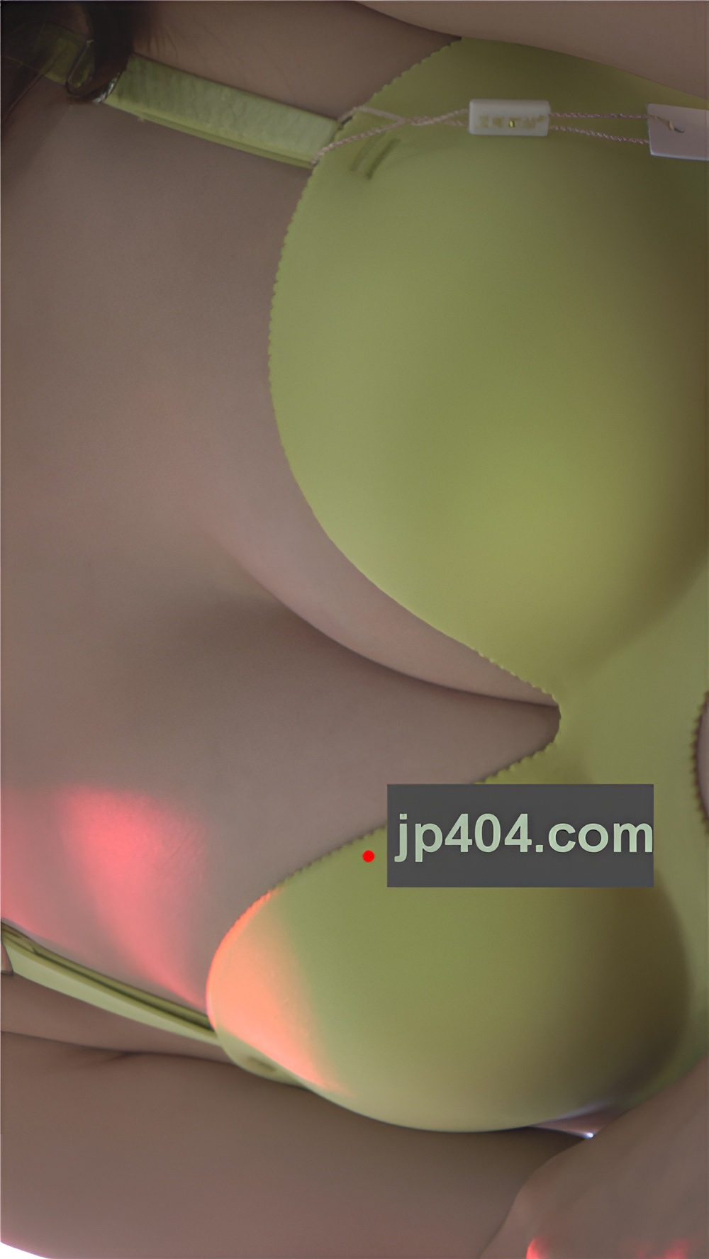 衣模小姐姐[749M/MP4]